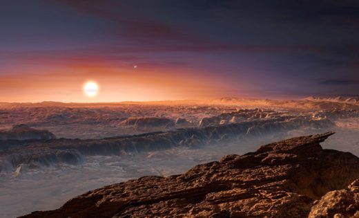 A planet in the habitable zone of our nearest neighbor